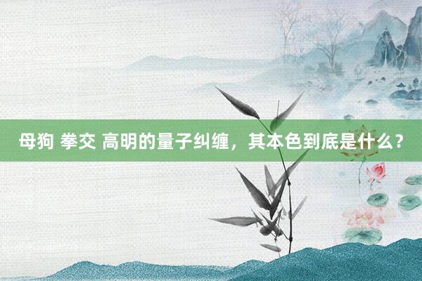 母狗 拳交 高明的量子纠缠，其本色到底是什么？