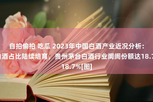 自拍偷拍 吃瓜 2023年中国白酒产业近况分析：高端白酒占比陆续培育，贵州茅台白酒行业阛阓份额达18.7%[图]