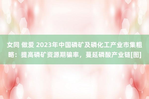 女同 做爱 2023年中国磷矿及磷化工产业市集粗略：提高磷矿资源期骗率，蔓延磷酸产业链[图]