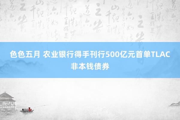 色色五月 农业银行得手刊行500亿元首单TLAC非本钱债券