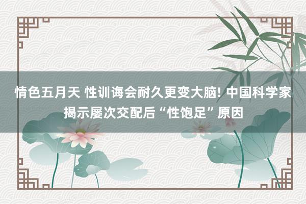 情色五月天 性训诲会耐久更变大脑! 中国科学家揭示屡次交配后“性饱足”原因