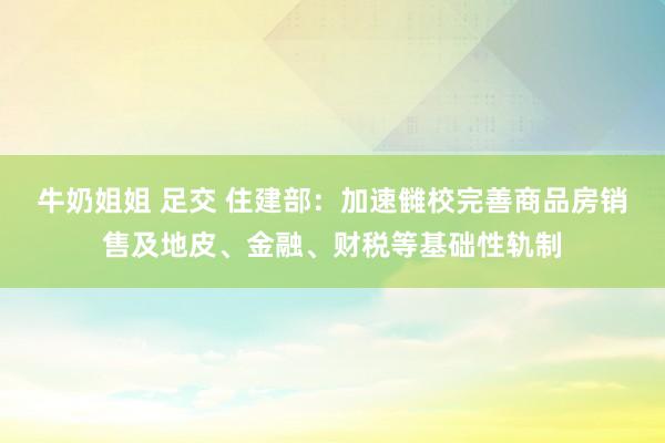 牛奶姐姐 足交 住建部：加速雠校完善商品房销售及地皮、金融、财税等基础性轨制