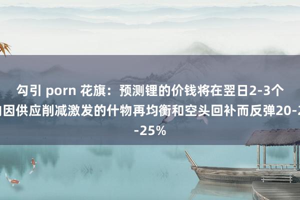 勾引 porn 花旗：预测锂的价钱将在翌日2-3个月内因供应削减激发的什物再均衡和空头回补而反弹20-25%