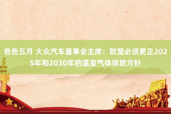 色色五月 大众汽车董事会主席：欧盟必须更正2025年和2030年的温室气体排放方针