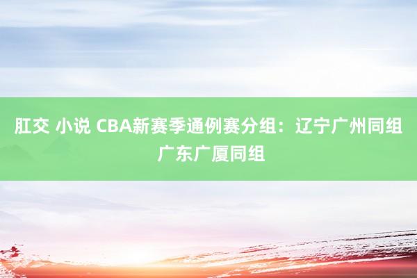 肛交 小说 CBA新赛季通例赛分组：辽宁广州同组 广东广厦同组