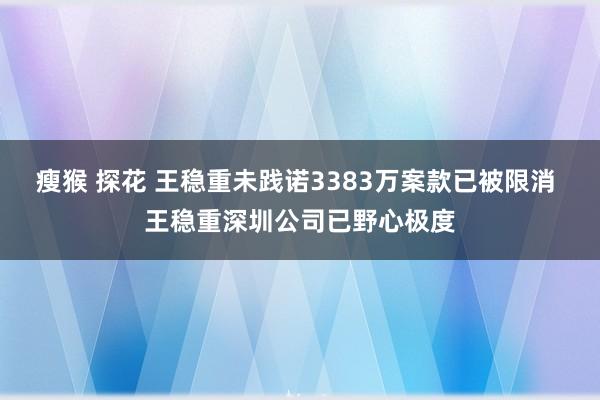 瘦猴 探花 王稳重未践诺3383万案款已被限消 王稳重深圳公司已野心极度