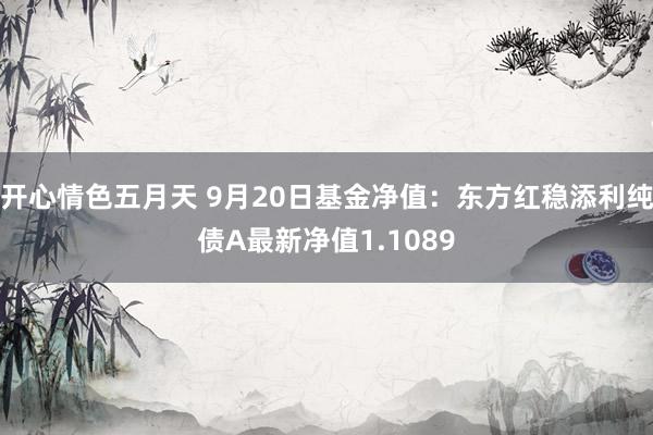 开心情色五月天 9月20日基金净值：东方红稳添利纯债A最新净值1.1089