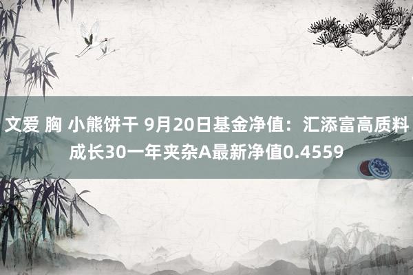 文爱 胸 小熊饼干 9月20日基金净值：汇添富高质料成长30一年夹杂A最新净值0.4559