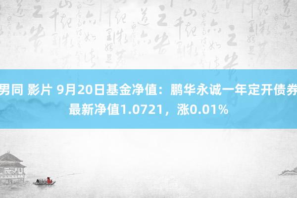 男同 影片 9月20日基金净值：鹏华永诚一年定开债券最新净值1.0721，涨0.01%