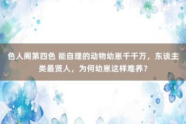 色人阁第四色 能自理的动物幼崽千千万，东谈主类最贤人，为何幼崽这样难养？