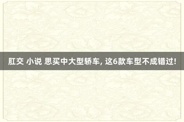 肛交 小说 思买中大型轿车， 这6款车型不成错过!