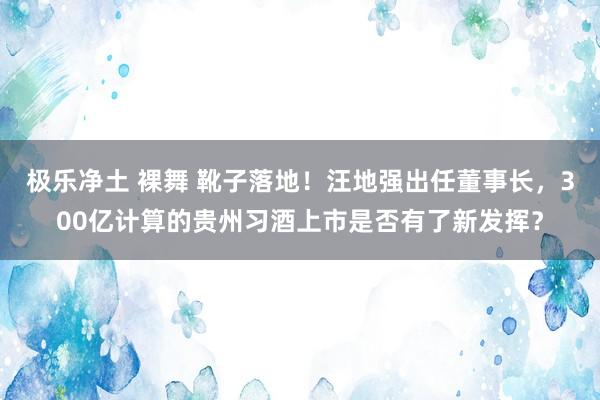 极乐净土 裸舞 靴子落地！汪地强出任董事长，300亿计算的贵州习酒上市是否有了新发挥？