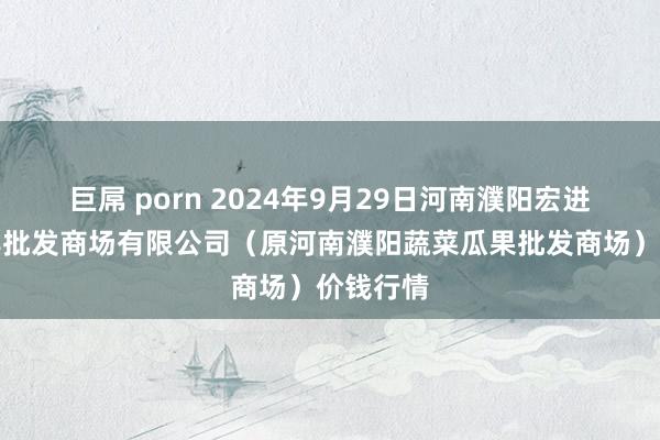 巨屌 porn 2024年9月29日河南濮阳宏进农副家具批发商场有限公司（原河南濮阳蔬菜瓜果批发商场）价钱行情