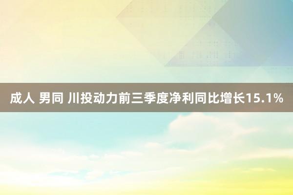 成人 男同 川投动力前三季度净利同比增长15.1%