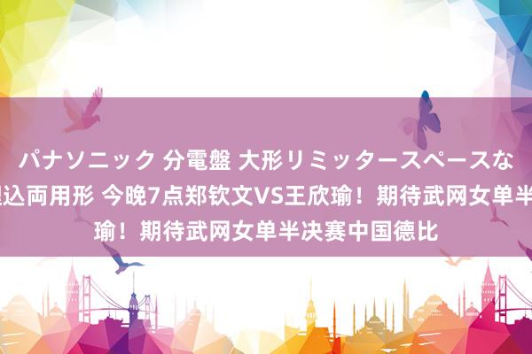 パナソニック 分電盤 大形リミッタースペースなし 露出・半埋込両用形 今晚7点郑钦文VS王欣瑜！期待武网女单半决赛中国德比