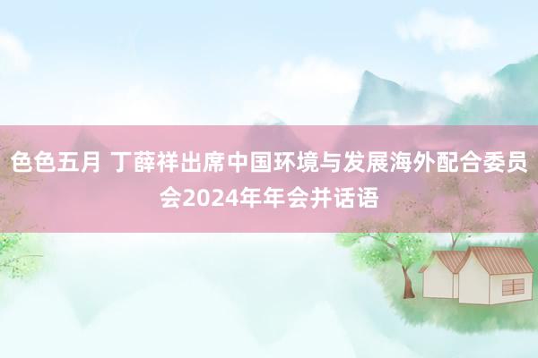 色色五月 丁薛祥出席中国环境与发展海外配合委员会2024年年会并话语