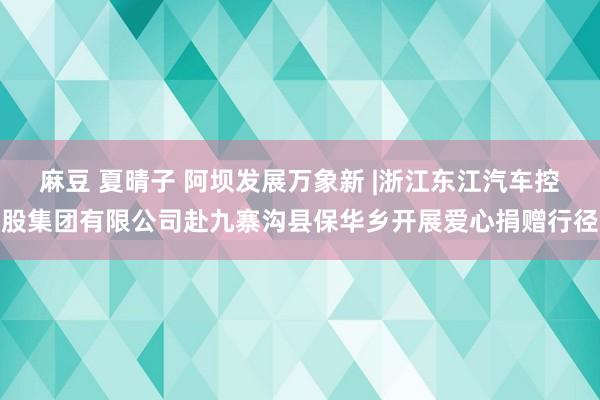 麻豆 夏晴子 阿坝发展万象新 |浙江东江汽车控股集团有限公司赴九寨沟县保华乡开展爱心捐赠行径