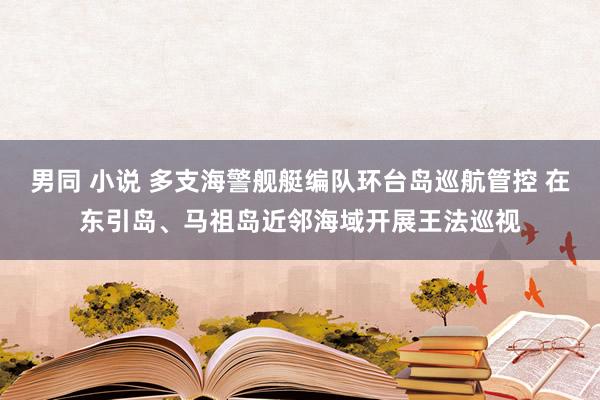 男同 小说 多支海警舰艇编队环台岛巡航管控 在东引岛、马祖岛近邻海域开展王法巡视