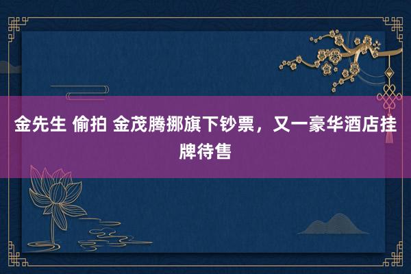 金先生 偷拍 金茂腾挪旗下钞票，又一豪华酒店挂牌待售