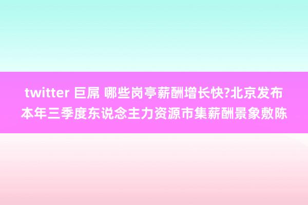 twitter 巨屌 哪些岗亭薪酬增长快?北京发布本年三季度东说念主力资源市集薪酬景象敷陈