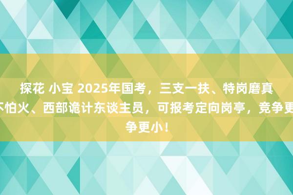 探花 小宝 2025年国考，三支一扶、特岗磨真金不怕火、西部诡计东谈主员，可报考定向岗亭，竞争更小！