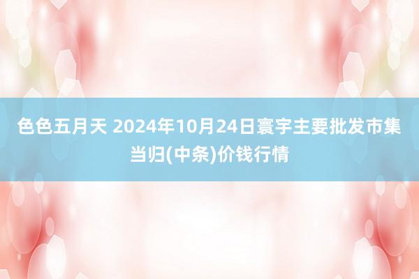 色色五月天 2024年10月24日寰宇主要批发市集当归(中条)价钱行情