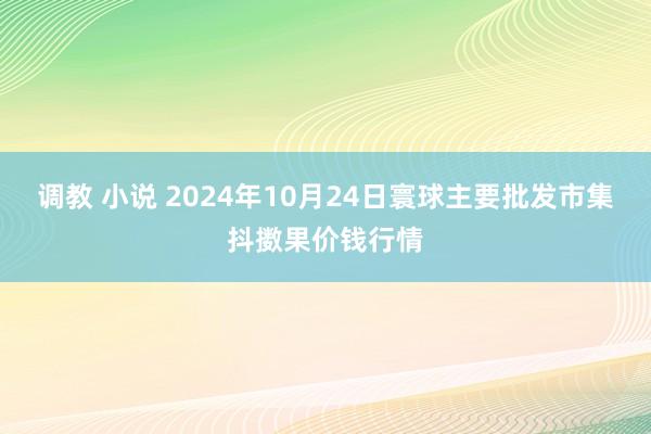 调教 小说 2024年10月24日寰球主要批发市集抖擞果价钱行情