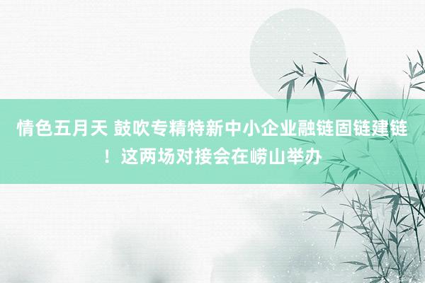 情色五月天 鼓吹专精特新中小企业融链固链建链！这两场对接会在崂山举办