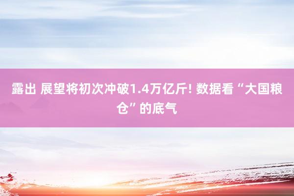 露出 展望将初次冲破1.4万亿斤! 数据看“大国粮仓”的底气