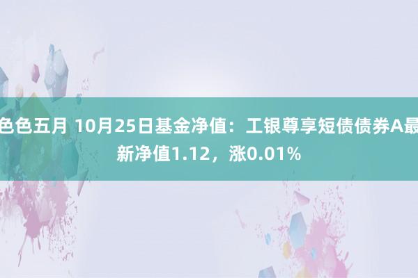 色色五月 10月25日基金净值：工银尊享短债债券A最新净值1.12，涨0.01%