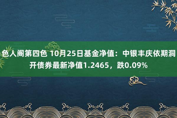 色人阁第四色 10月25日基金净值：中银丰庆依期洞开债券最新净值1.2465，跌0.09%