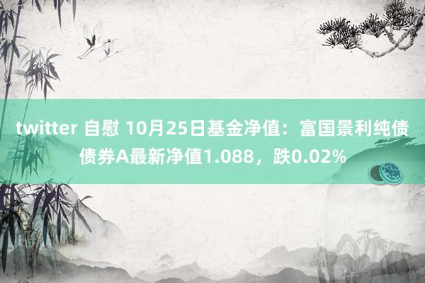 twitter 自慰 10月25日基金净值：富国景利纯债债券A最新净值1.088，跌0.02%