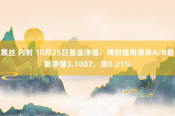 黑丝 内射 10月25日基金净值：博时信用债券A/B最新净值3.1087，涨0.21%