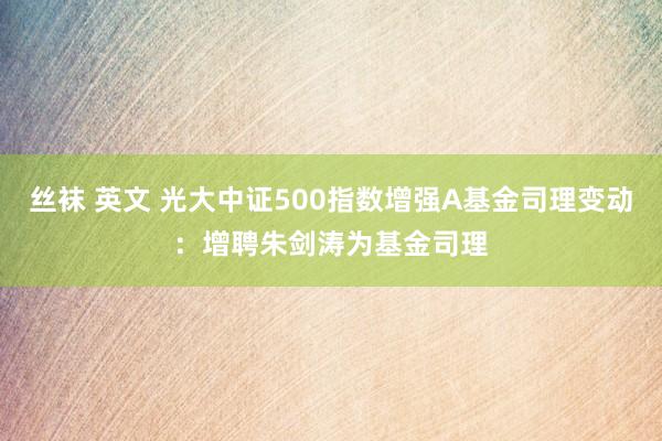 丝袜 英文 光大中证500指数增强A基金司理变动：增聘朱剑涛为基金司理