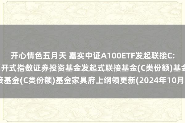 开心情色五月天 嘉实中证A100ETF发起联接C: 嘉实中证A100交游型洞开式指数证券投资基金发起式联接基金(C类份额)基金家具府上纲领更新(2024年10月28日)