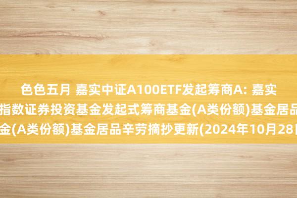 色色五月 嘉实中证A100ETF发起筹商A: 嘉实中证A100交游型绽开式指数证券投资基金发起式筹商基金(A类份额)基金居品辛劳摘抄更新(2024年10月28日)