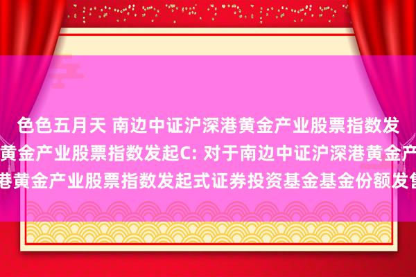 色色五月天 南边中证沪深港黄金产业股票指数发起A，南边中证沪深港黄金产业股票指数发起C: 对于南边中证沪深港黄金产业股票指数发起式证券投资基金基金份额发售手艺的提醒性公告