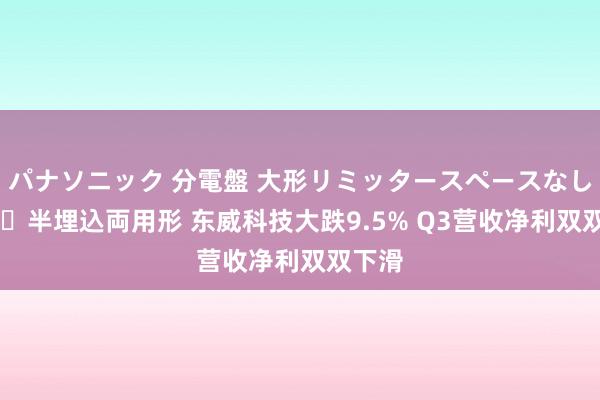 パナソニック 分電盤 大形リミッタースペースなし 露出・半埋込両用形 东威科技大跌9.5% Q3营收净利双双下滑