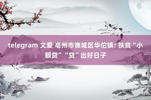 telegram 文爱 亳州市谯城区华佗镇: 扶贫“小额贷”“贷”出好日子