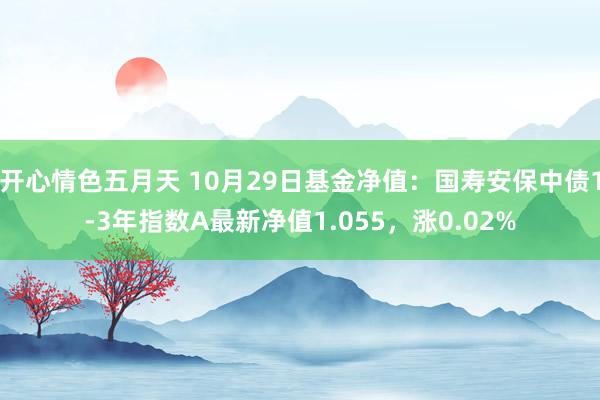 开心情色五月天 10月29日基金净值：国寿安保中债1-3年指数A最新净值1.055，涨0.02%