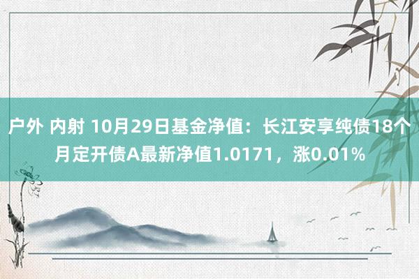 户外 内射 10月29日基金净值：长江安享纯债18个月定开债A最新净值1.0171，涨0.01%