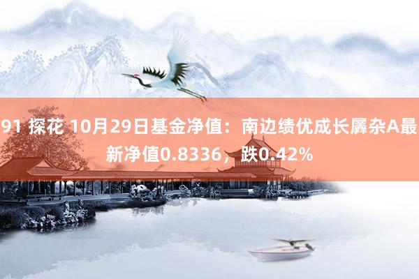 91 探花 10月29日基金净值：南边绩优成长羼杂A最新净值0.8336，跌0.42%