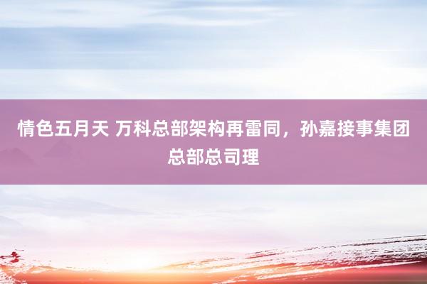 情色五月天 万科总部架构再雷同，孙嘉接事集团总部总司理