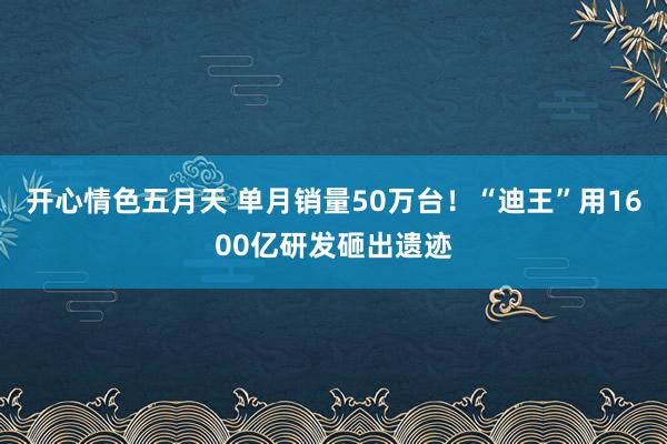 开心情色五月天 单月销量50万台！“迪王”用1600亿研发砸出遗迹