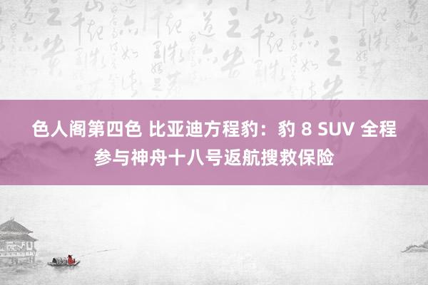 色人阁第四色 比亚迪方程豹：豹 8 SUV 全程参与神舟十八号返航搜救保险