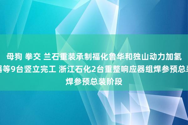 母狗 拳交 兰石重装承制福化鲁华和独山动力加氢响应器等9台竖立完工 浙江石化2台重整响应器组焊参预总装阶段