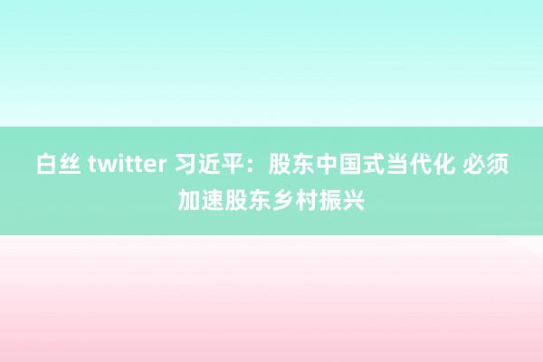 白丝 twitter 习近平：股东中国式当代化 必须加速股东乡村振兴