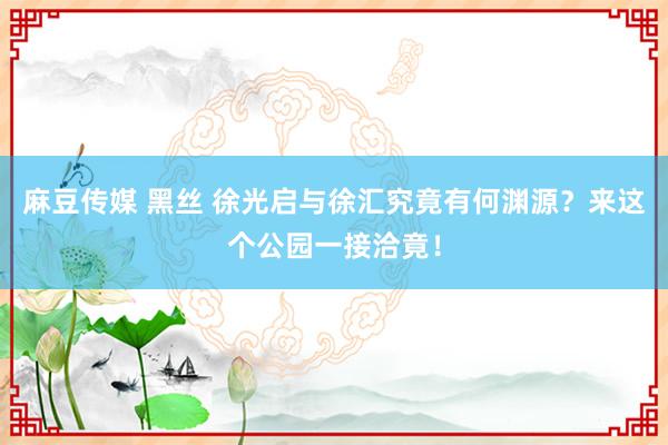 麻豆传媒 黑丝 徐光启与徐汇究竟有何渊源？来这个公园一接洽竟！