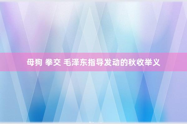 母狗 拳交 毛泽东指导发动的秋收举义