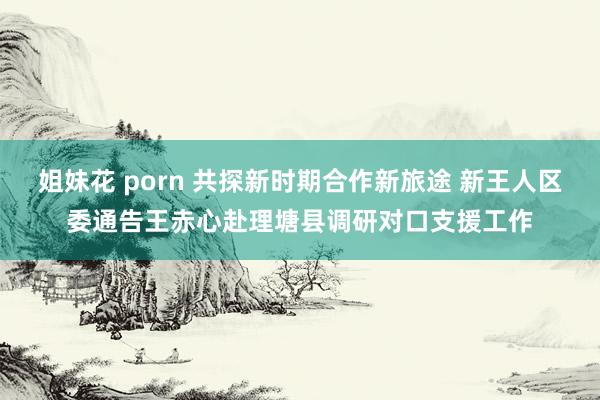 姐妹花 porn 共探新时期合作新旅途 新王人区委通告王赤心赴理塘县调研对口支援工作